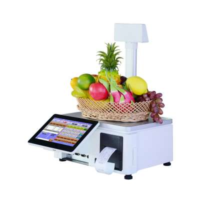 Plug and play T10 A new generation of All in one 10 inch capacitive touch screen cash register scale